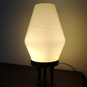 Insidious Lamp Shade